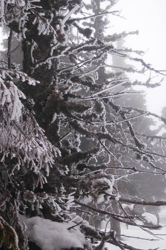 DSC_0926