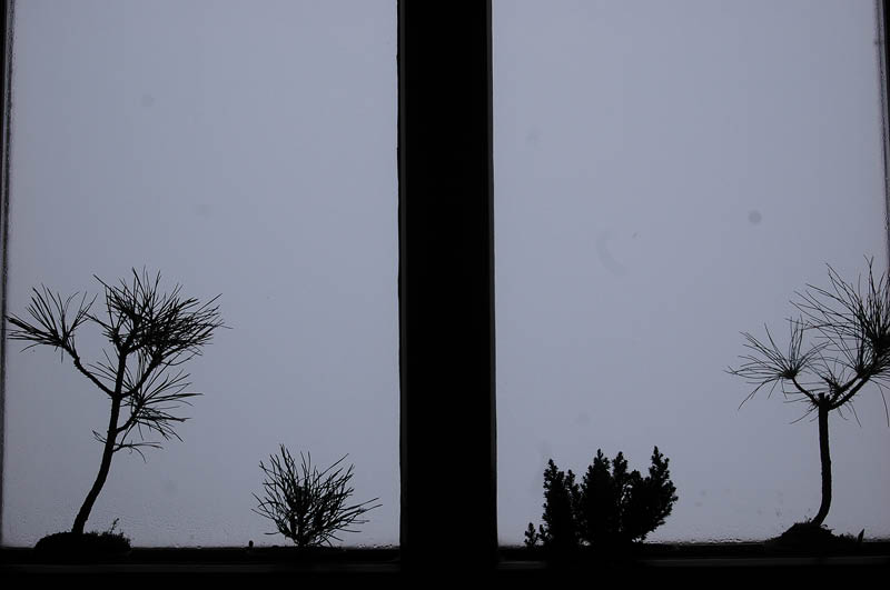 DSC_0963
