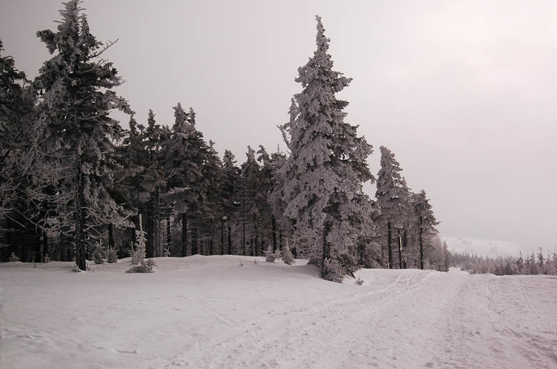 DSC_1002