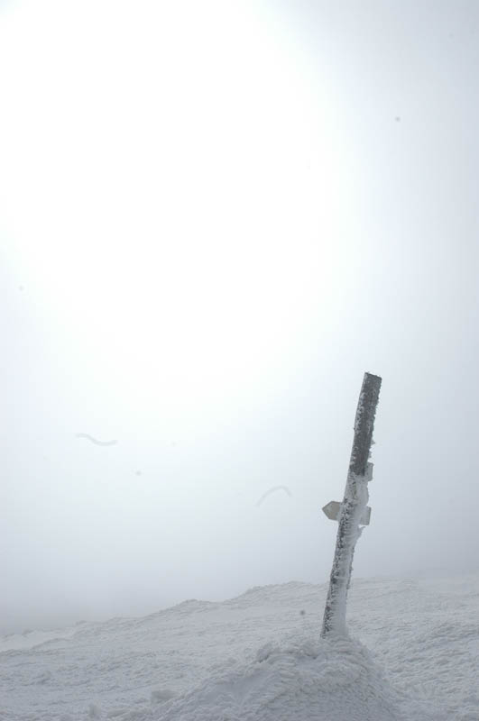 DSC_1080