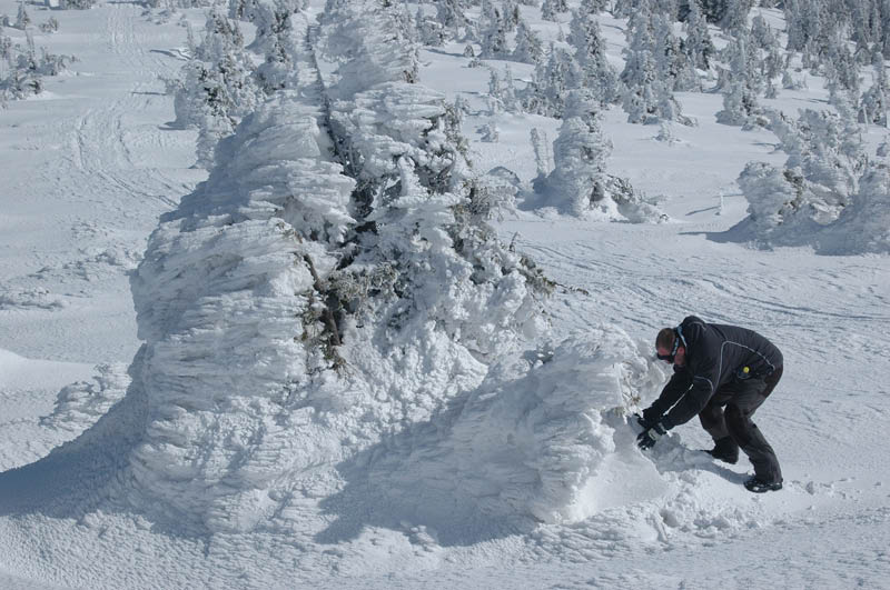 DSC_1141
