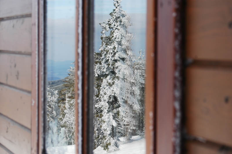 DSC_1227