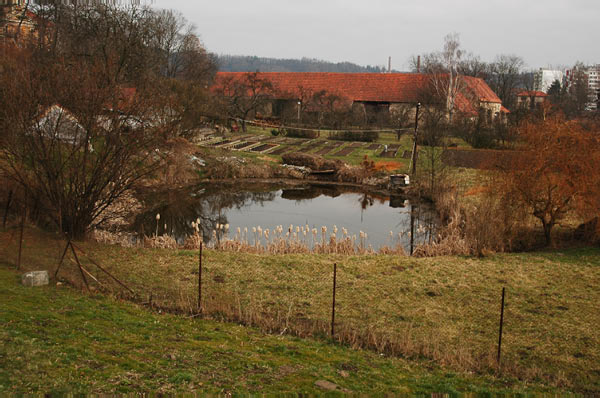 DSC_5010